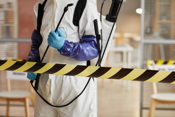 Professional Hoarding Cleanup technician working in Lake Arrowhead, ME